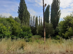 В Волгограде создали всероссийский центр по борьбе с опустыниванием