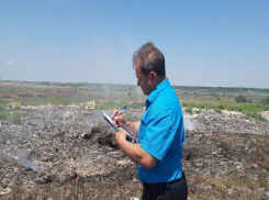 В Волгограде прокуратура через суд заставила администрацию убрать камыш и мусор