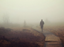 Мокрый снег и туман будут терзать жителей Волгоградской области до конца недели