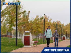 Яркие краски и простые радости жизни подарила золотая осень волгоградцам