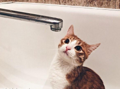 Стал известен полный график отключения горячей воды в Волгограде в июне