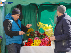 Почти 85% волгоградцев не собираются дарить цветы на 8 марта