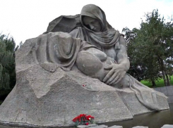 Волгоградцы разругались из-за красивого видео барнаульца об их городе