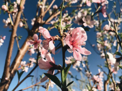 Где искать спокойствия и гармонии в Волгограде