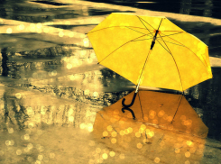 В Волгоградской области наступила весна: дожди и потепление до +9ºС