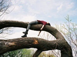 Застрявший на дереве житель Волгограда требовал еды и вертолет