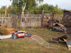 Под Волгоградом мать оставила 3-летнего сына умирать на земле
