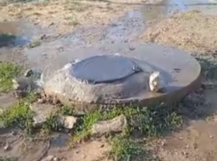 Волгоградский поселок заливает после набора воды из гидранта: видео