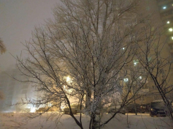 Волгоградцев предупредили о налипании мокрого снега