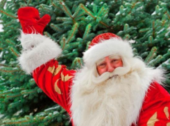 Волгоградские школьники своими руками сделали гирлянду длиной 1 километр