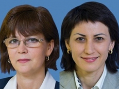 Стало известно, на что живут сенаторы от Волгограда