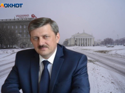 Мэру Волгограда Марченко предложили прокатиться по снежным завалам на запряженных замами санях 