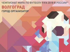 К ЧМ по футболу в Волгограде реконструируют три гостиницы и Шоссе Авиаторов