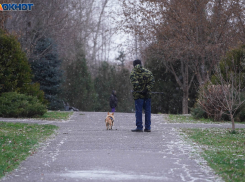 Шторм с метелью накроют Волгоградскую область