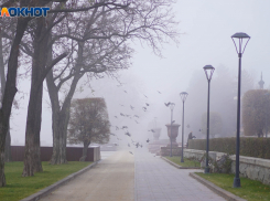 В Волгоградской области 14 апреля будет дождливо и пасмурно