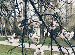 В Волгоградской области продолжат бушевать грозы