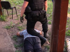 ФСБ: Украина готовила теракт в Волгоградской области 