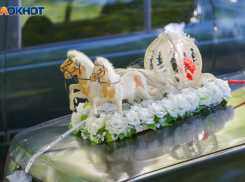 Свадебные услуги резко подорожали в Волгограде