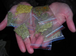 Волгоградец задержан в Москве за торговлю спайсом