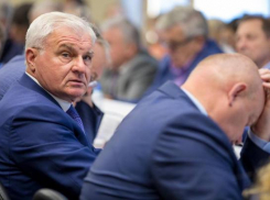 Волгоградский депутат объяснил, почему голосовал за пенсионную реформу