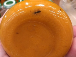 Волгоградцы пытаются угадать, что за насекомое утонуло в банке с кабачковой икрой