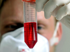 В Волгоградской области четыре человека скончались от свиного гриппа 