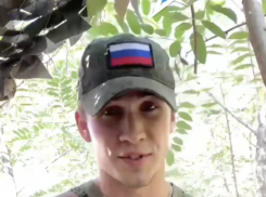 Участник СВО из Волгограда попросил Мизулину проверить группу «кис-кис»