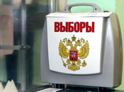 Глава Волгограда не принял решения об участии в выборах в городскую думу