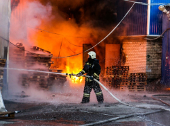 В Волгоградской области во время пожаров погибли две женщины