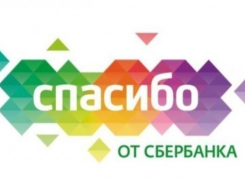 «Спасибо от Сбербанка» помогает подготовиться к учебному году