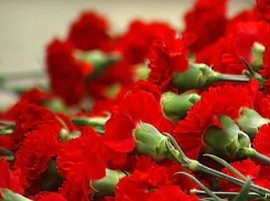 Волгоградские чиновники закупают полторы тысячи гвоздик и 900 роз за счет бюджета