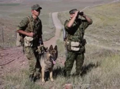 Опасный преступник из Волгограда был задержан при попытке пересечь границу 