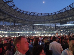  «Слишком много людей»: на «Волгоград Арене» интернет не справился с нагрузкой