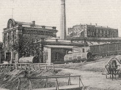 Водопроводная вода Царицына была грязной и непригодной для питья