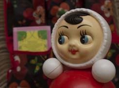  Стали известны обстоятельства жизни убившей новорожденного сына воспитательницы из Михайловки