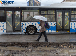 «У нас теперь проезд 62 рубля?»: двойная нажива на билетах процветает в Волгограде 