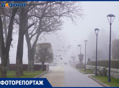 Волгоград с утра заволокло туманом