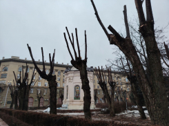 Уродство с улицы вязов: волгоградцы пришли в шок от реконструкции в центре