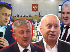 Политические тяжеловесы Волгограда рвутся в Госдуму без конкретных обещаний