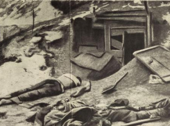 «Питались дохлой сырой кониной и разными отбросами»: рассекреченный архив о лагере плененных под Сталинградом 