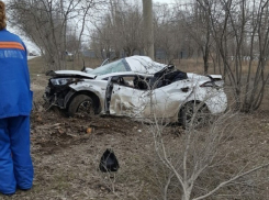 Hyundai протаранил дерево в Волгограде: есть погибшие