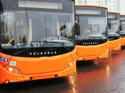 Производители автобусов «Волгабас» в суде оспаривают кредитный долг в 177 миллионов рублей