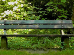 Волгоград погружается в умиротворяющее тепло 