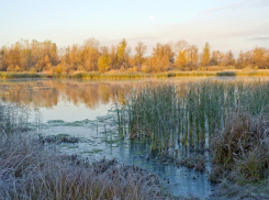 Проект по расчистке одного из ериков Волго-Ахтубинской поймы обойдется в 5 млн рублей