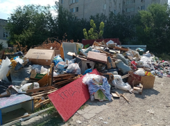 Агитацию на фоне гор мусора в Волгограде устроил кандидат в депутаты — директор УК