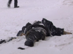 Окоченевший труп обнаружен у птицефабрики под Волгоградом