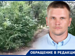 Депутат из Ростовской области возмущен состоянием аллеи, ведущей к Мамаеву кургану