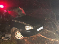 В Волгоградской области три человека погибли в ДТП