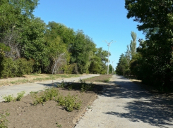 Футбольное поле и колесо обозрения появятся в ЦПКиО в Волгограде