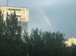 Редкое природное явление обсуждают волгоградцы